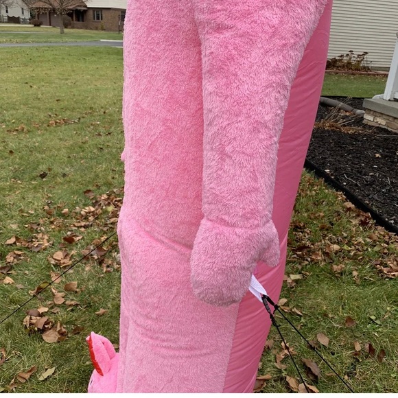 ISO - looking to buy! This exact inflatable. - Picture 4 of 4